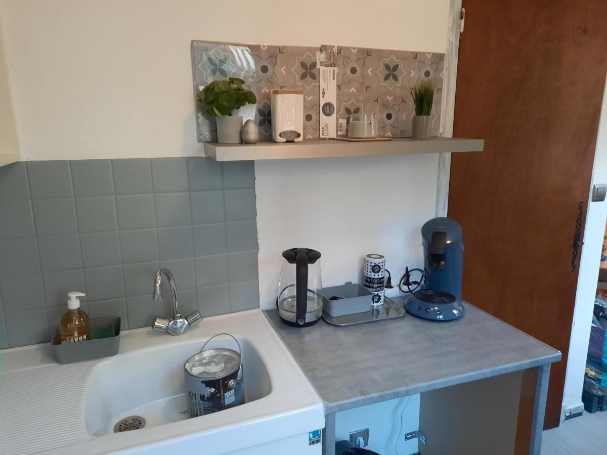 Studio Renove Au Coeur Du Village Saint-Martin-Vésubie Eksteriør billede